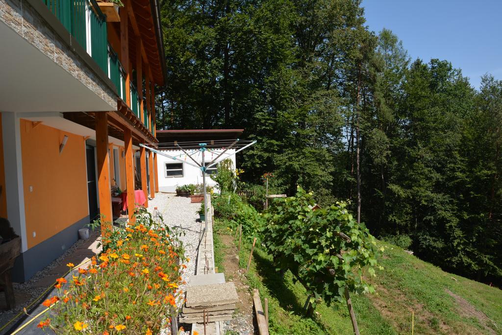 Gaestehaus Schmid Sankt Johann im Saggautal Экстерьер фото